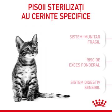 Hrana Uscata Pisici, ROYAL CANIN, Kitten Sterilised, Junior, 400g