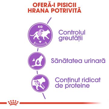 Hrana Uscata Pisici, ROYAL CANIN, Sterilised, Adult, 10kg ieftina