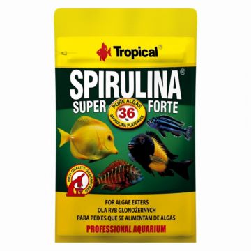 SPIRULINA FORTE Tropical Fish, 36%, 12g ieftina