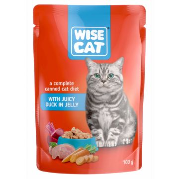 Wise cat, hrana umeda pentru pisici, suculenta cu rata in jeleu - 24x100 g la reducere