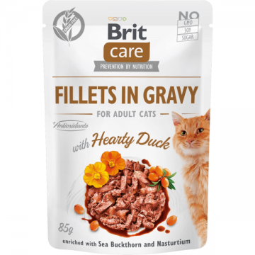 Hrana umeda pentru pisici Brit Care Fileuri de rata in sos 85g