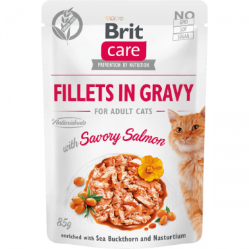 Hrana umeda pentru pisici Brit Care Fileuri de somon in sos 85g