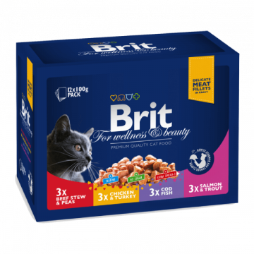 Hrana umeda pentru pisici Brit Premium Family Plate Variety 12 plicuri X100g ieftina