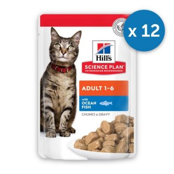 Pachet Plicuri Hill s SP Feline Adult Ocean Fish 12X85 gr