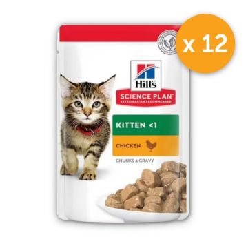 Pachet Plicuri Hill s SP Feline Kitten Chicken 12x85 gr
