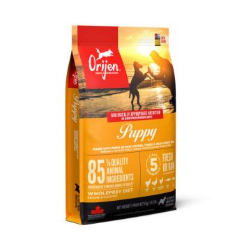 Hrana Uscata Caini ORIJEN Junior 6kg (Termen Redus - 15.11.2023)