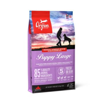 Hrana Uscata Caini ORIJEN Junior Talie Mare 11.4kg (Termen Redus - 08.10.2023)