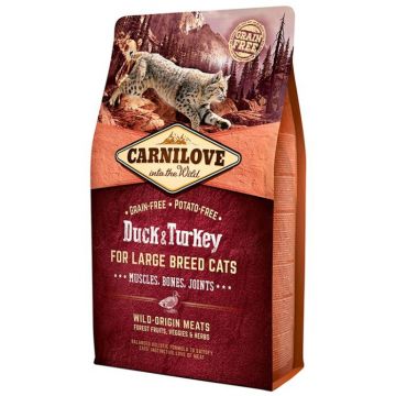 Hrana Uscata Pisici CARNILOVE Grain Free Large Breed cu Rata si Curcan 6kg
