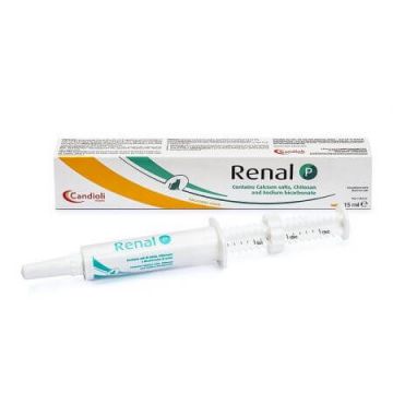 Renal P pasta, 15 ml, Candioli Pharma