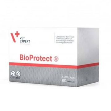Supliment nutritiv pentru caini si pisici BioProtect, 60 capsule, VetExpert