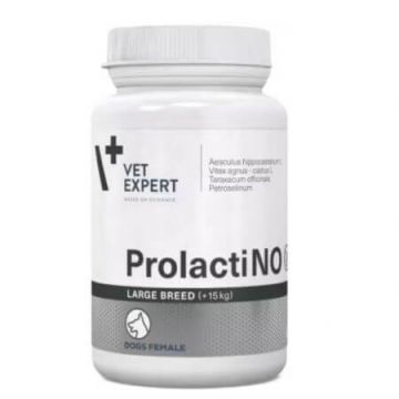 Suplimente pentru caini ProlactiNO Large Breed40 tablete, VetExpert