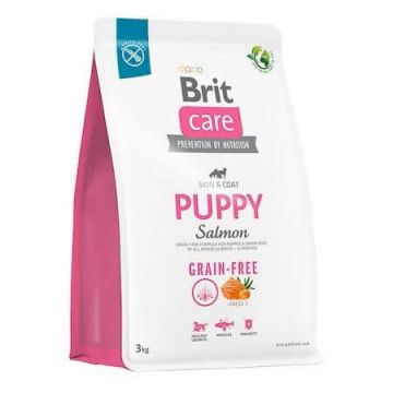 Hrana uscata pentru caini Grain Free Puppy, 3 Kg, Brit