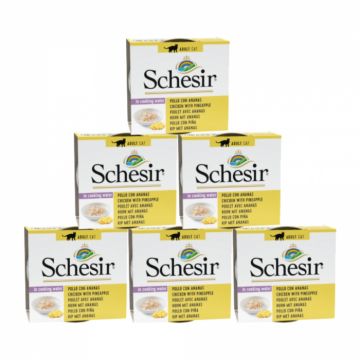 Pachet conserve Schesir Cat Fruit Pui si Ananas 6x75g