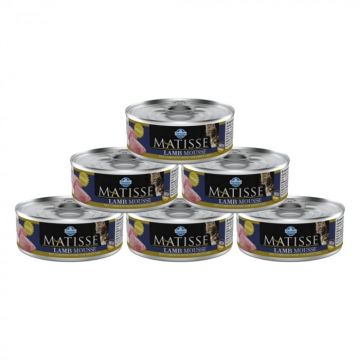 PACHET MATISSE PISICA MOUSSE MIEL, 85G - 6 BUC