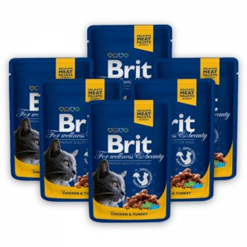 Pachet Plicuri Pisici BRIT PREMIUM BY NATURE Carne de Pui si Curcan 6x100 gr