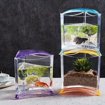 Acvariu acrylic betta, triunghiular, albastru /Stylish Display Case Blue