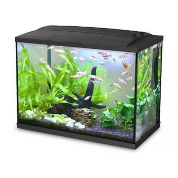 Acvariu Hailea K60 Black