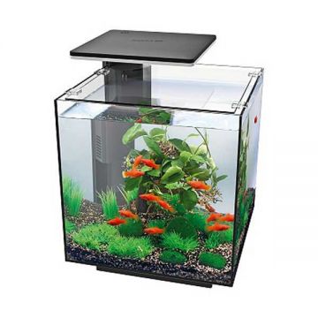 Acvariu Hailea QUBIQ 30 LED Black