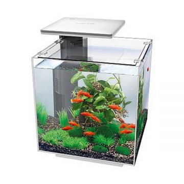 Acvariu Hailea QUBIQ 30 LED White