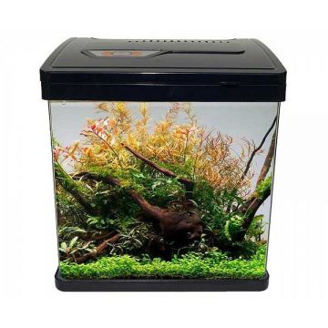 Acvariu mic 23 cm cu filtru si lumina LED-PY-240 volum 7 litri