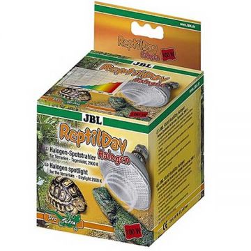 Bec terariu JBL ReptilDay 100W Halogen