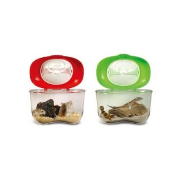 ISTA Modern Pet Box