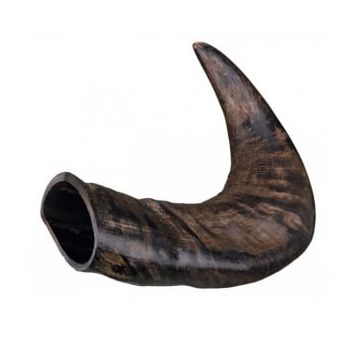 Trixie Corn Natural De Bivol, Medium