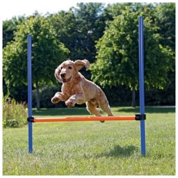 TRIXIE Agility Hurdle, jucărie obstacol câini, plastic, 129cm x 115cm x 3cm, albastru cu portocaliu