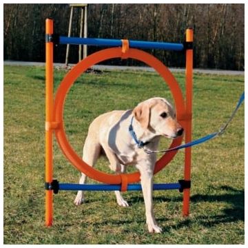 TRIXIE Agility Ring, jucărie obstacol câini, plastic, 65cm, albastru cu portocaliu