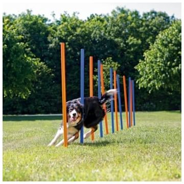TRIXIE Agility Slalom, jucărie interactivă câini, plastic, 115cm x 3cm, 12buc, albastru/portocaliu