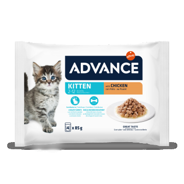 Advance Cat Wet Kitten Pui Multipack, 4x85 g