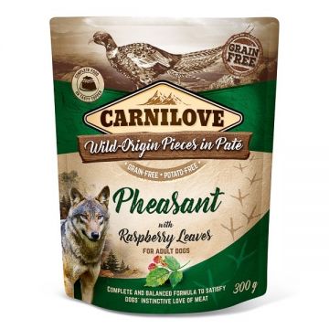 Carnilove Dog Pouch Paté Pheasant with Raspberry Leaves, 300 g