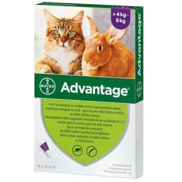 Solutie antiparazitara pentru aplicare cutanata la pisici si iepuri peste 4 kg Advantage 80 Pisica/Iepure, 4 pipete, Bayer Vet OTC