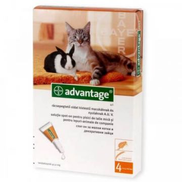 Solutie antiparazitara pentru aplicare cutanata la pisici si iepuri sub 4 kg Advantage 40 Pisica/Iepure, 4 pipete, Bayer Vet OTC