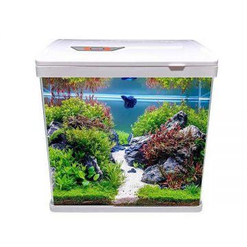 Acvariu pesti mic alb 19cm echipat cu lumina si filtru 4 litri