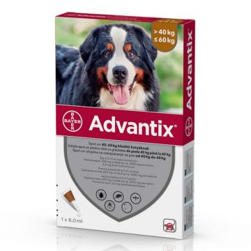 ADVANTIX, deparazitare externă câini, pipetă repelentă ADVANTIX 600, deparazitare externă câini, pipetă repelentă, XL(40 - 60kg), 1buc