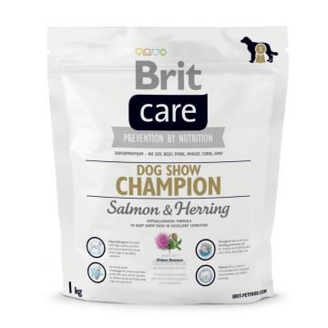 BRIT Care Dog Show Champion, Somon, hrană uscată câini, piele și blană, 1kg