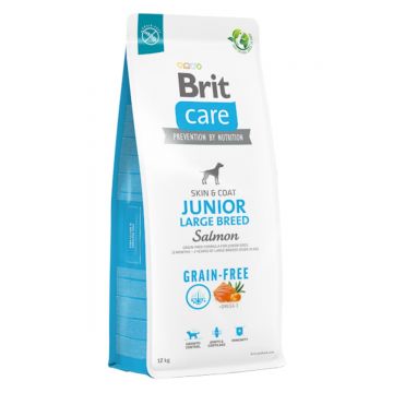 BRIT Care, L-XL, Somon, hrană uscată fără cereale câini junior, piele & blană BRIT Care Grain-Free Junior Large Breed, L-XL, Somon, hrană uscată fără cereale câini junior, piele & blană, 12kg