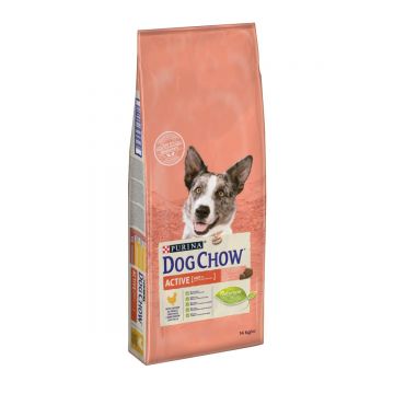 PURINA Dog Chow Adult Active, Pui, hrană uscată câini, activitate intensă, 14kg