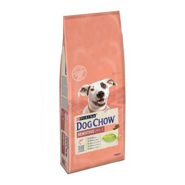 PURINA Dog Chow Adult Sensitive, Somon, hrană uscată câini, sensibilități digestive, 14kg
