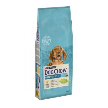 PURINA Dog Chow Puppy M, Pui, hrană uscată câini junior, 14kg