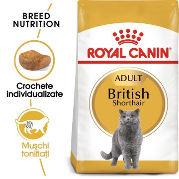 Royal Canin British Shorthair Adult, hrană uscată pisici, 10kg