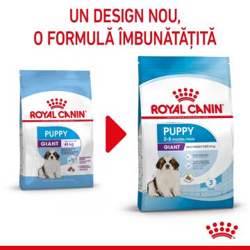 ROYAL CANIN Giant Puppy, hrană uscată câini junior, etapa 1 de creștere, 15kg