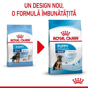 ROYAL CANIN Maxi Puppy, hrană uscată câini junior, 15kg