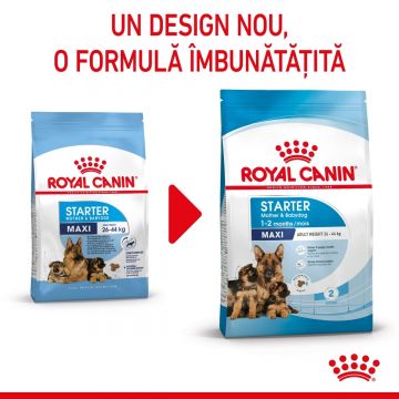 ROYAL CANIN Maxi Starter Mother & BabyDog, mama și puiul, hrană uscată câini, 15kg