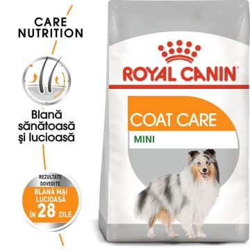 Royal Canin Mini Coat Care Adult, hrană uscată câini, blană sănătoasă și lucioasă, 3kg