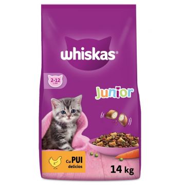 WHISKAS Junior, Pui, hrană uscată pisici junior, 14kg