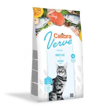 CALIBRA Verve GF Adult, Hering, hrană uscată fară cereale pisici, 750g