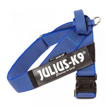 JULIUS-K9 IDC Color & Gray, ham bandă câini, L, 23-30kg, albastru