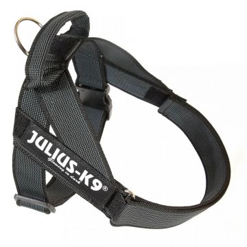 JULIUS-K9 IDC Color & Gray, ham bandă câini, M, 14-25kg, negru ieftin